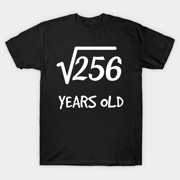 Square Root of 256: 16th Birthday 16 Years Old Teen Boy Girl T-Shirt by rayrayray90